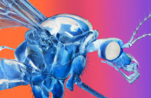 Item #34706450278162979318667539787965118364630649928530058686286775303305466740737 Media