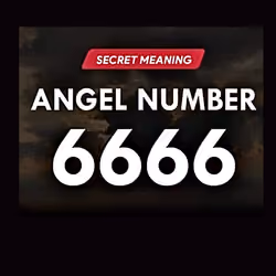 6666