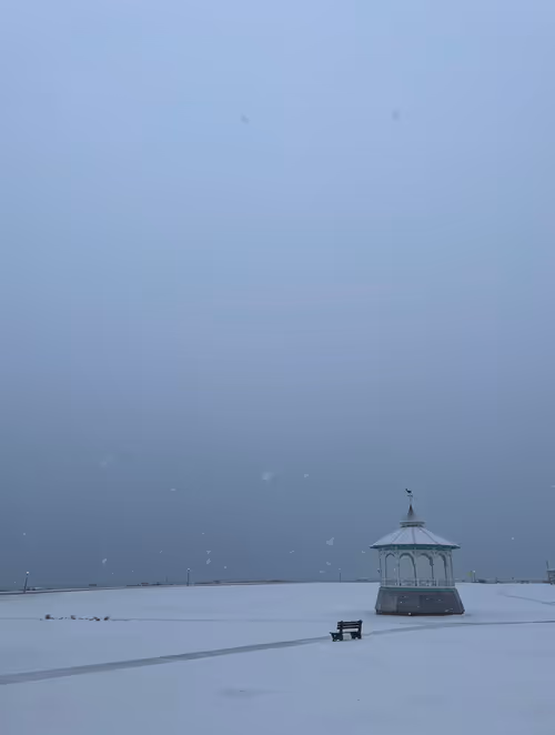 Item #36844992614188905470265102847256926820365174315882136485200209212705414840321 Media