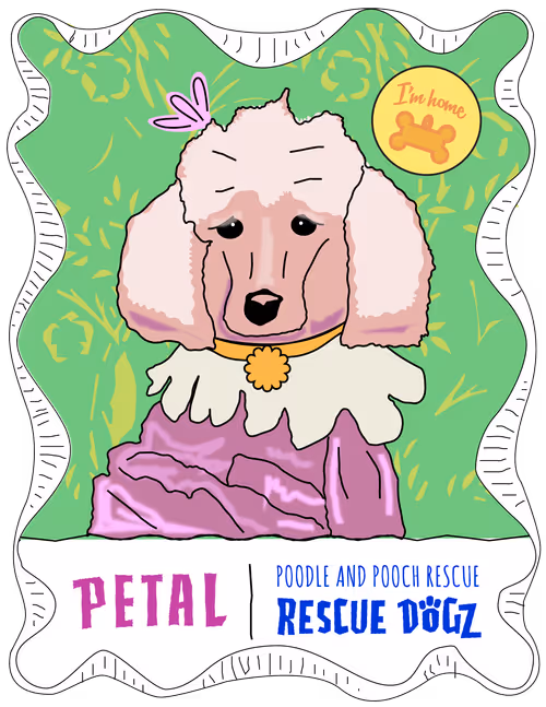 Item #30690731946652718087334591486962028713730520455891869769803774228471952179201 Media