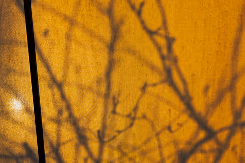 Item #94035650234493151169169307616889538055244007343231067987220881158181650169857 Media