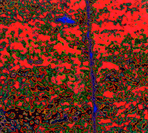 Item #44176308505715352231599045230088323769318740809540344974233715397591344087041 Media