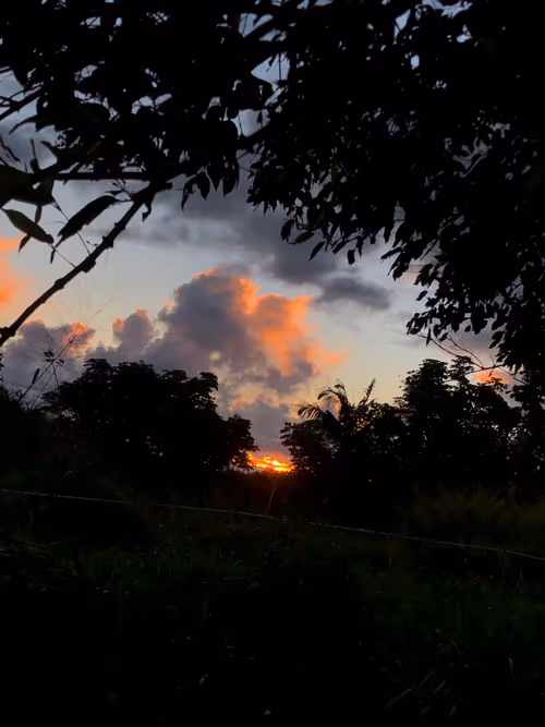 Item #111384347419130010131898734196272882001680551158239169533315207254794225844225 Media