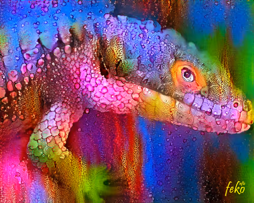 Item #101246250584396345783525808803766034653011072279848756554665935097611218331408 Media