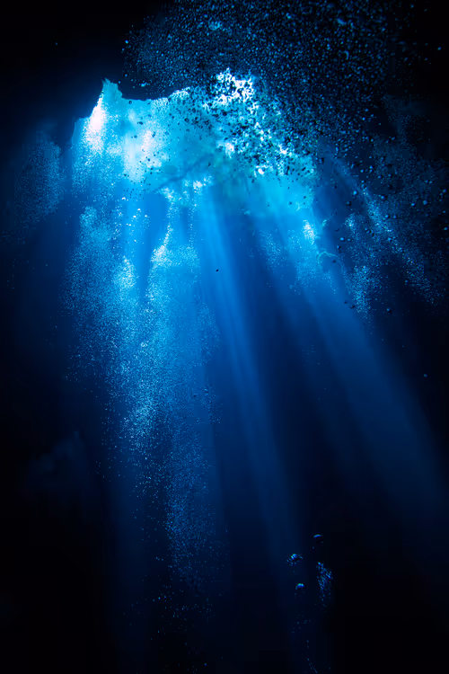 Item #25422583313571458459737529461820134862175223810011730482418987917845955870721 Media