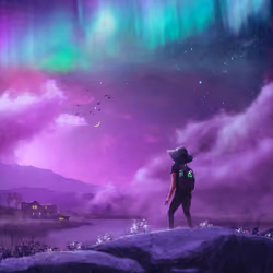 The Wanderer