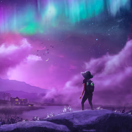 The Wanderer