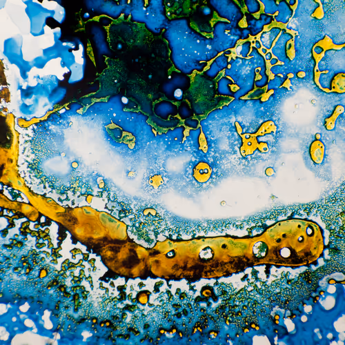 9251341193756129610411101804839683921415719585297066577807806952412658270209