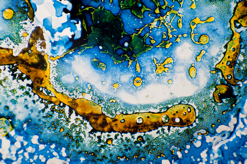 Item #9251341193756129610411101804839683921415719585297066577807806952412658270209 Media