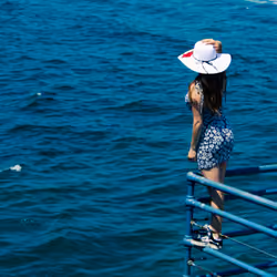The Blue 