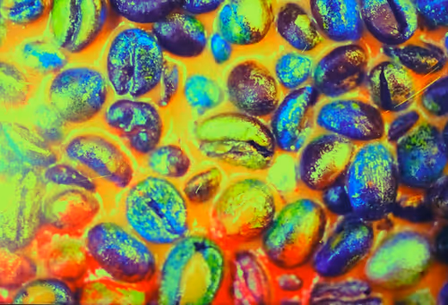 Item #39425846421802280996231740338929997167545085552399292352466571965888437682177 Media