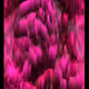 93469302660462583484690190998346915166105619251926010531368634881448836333569