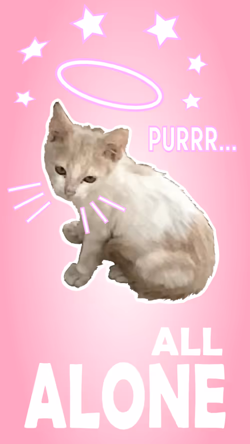 Item #39131870878443609504230106724730931861101567602754011991787220837262075887617 Media