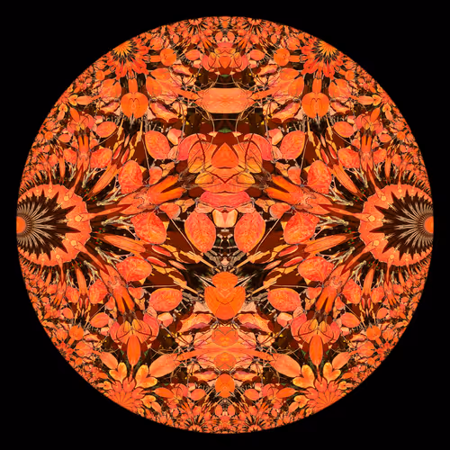 Item #78025697421519854394745813997348957843608354579108460228935444784113506058241 Media