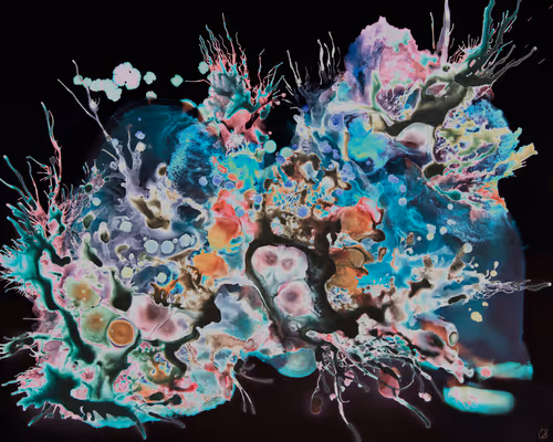 Item #74934598246377443102854186297208785696950614408936928108525223548640791887873 Media