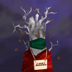 38969088093190670381878411557565580659447067316565611691845277071571255558145