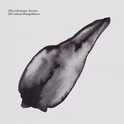 Item #20537471166803336483697920459392139182541277411208615206121837222904389959681 Media