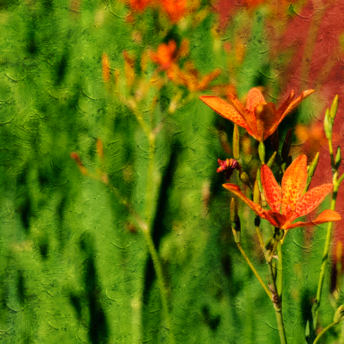 12801933611743003681732093195004376759551915858400843347804904518864246669313