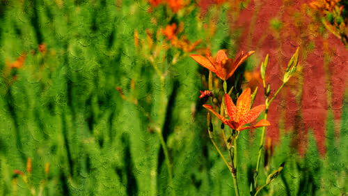 Item #12801933611743003681732093195004376759551915858400843347804904518864246669313 Media