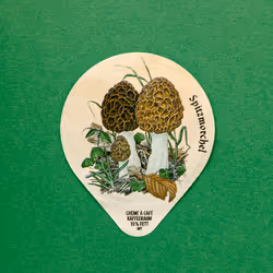 27065433399798513063572216385165001462181889982088416465869946578418872090625