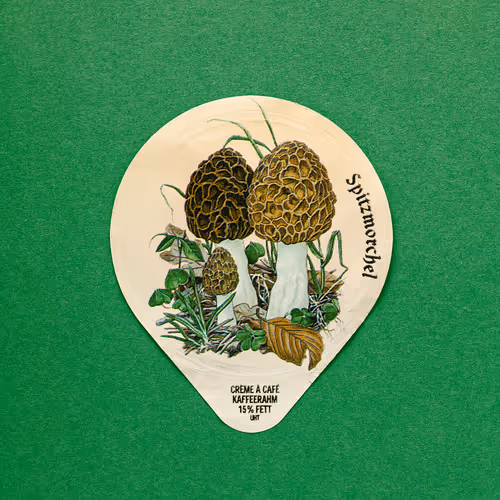 27065433399798513063572216385165001462181889982088416465869946578418872090625