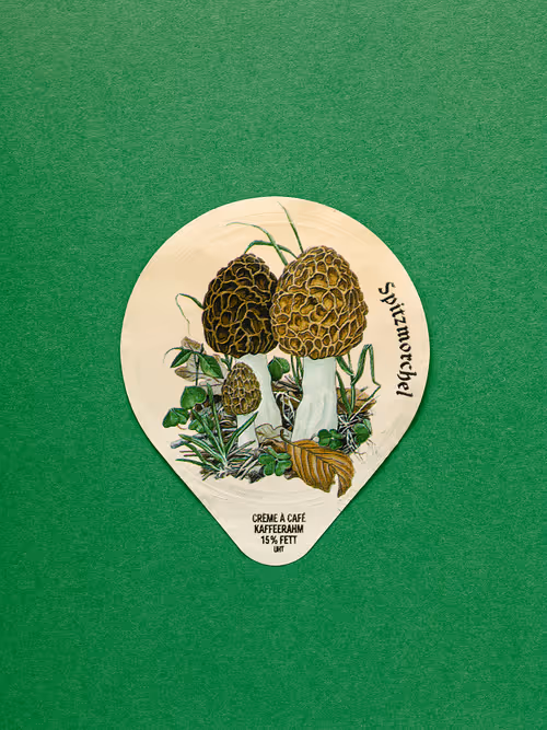 Item #27065433399798513063572216385165001462181889982088416465869946578418872090625 Media