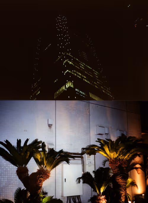 Item #25205925967337352681062801186386867060209741242358459141146210971956015005697 Media