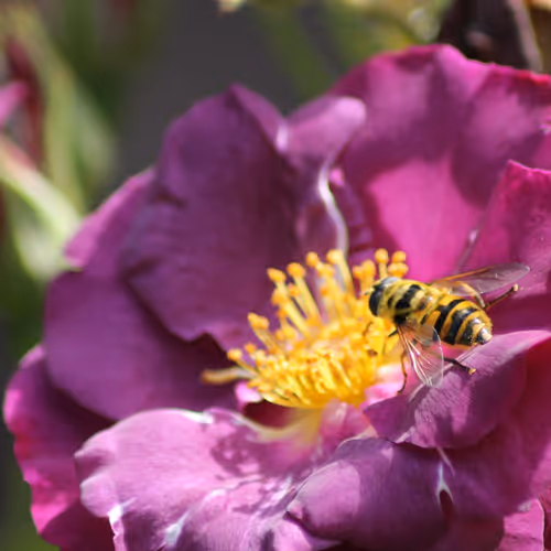 51124555051901614330264480006545612592022390906904121289505624495338515595265