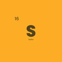 12332245684065198764694527978536122317407596672492401615866658086858568761345