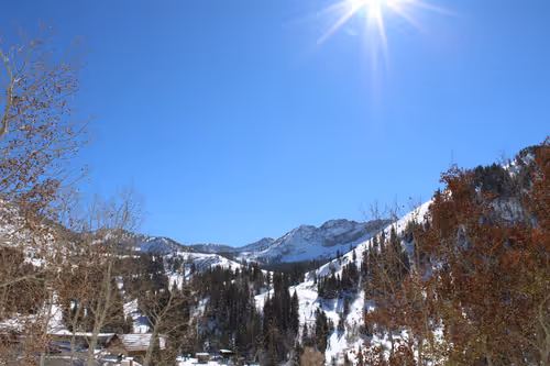 24379411385374025646552724438292174277941021441159272276396785483185433608193