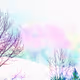 Ethereal Forest