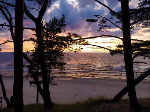 Item #36797478990227503802515544271343238965940869473164843468653790307496067334145 Media