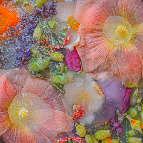 Item #80829721372825377784010953381890255518558028243098186913878117768546106736641 Media