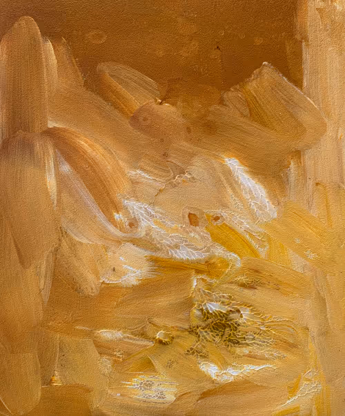 Item #104188272339356622327590887292958544295780476405951587730121661963482865598465 Media