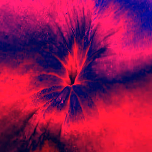 Item #38748192286267356930689689992324455160612969586483070519053316968808775155713 Media