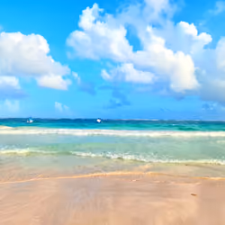 Vitamin Sea