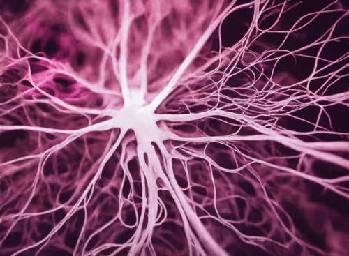 Item #98695163844141812296559601516468632585703412525772017875852753135118554497025 Media