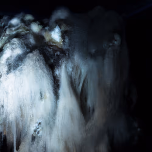 Earthfungal
