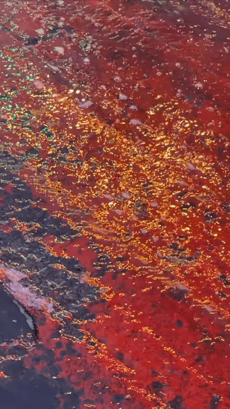 Item #62402000334580523921237358418718502457721815832787791947048085124372295057409 Media