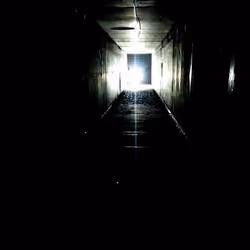 head towards the light