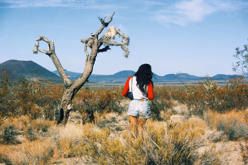 Item #1477567608042929161133967300904577015789959353209458872969039485495742038017 Media