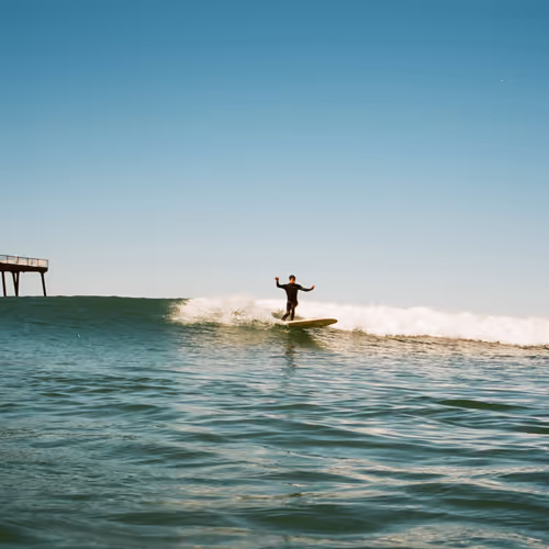 California Gold