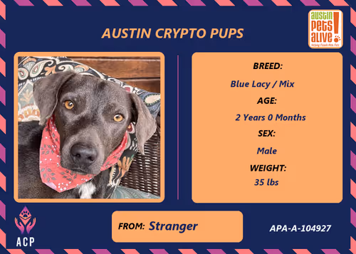 Item #17951378556605612276483806045649535824451571419947225201384628577722198654977 Media