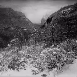 THE VALLEY