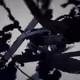 25493570172043083971860345894473149416415413242753721544146315439054570651649