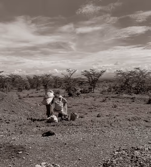 Item #26959255439957110233077989937802681477686360662735004345703791609030949994497 Media