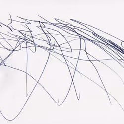 101721038735227665737120629785108519820940953856750280309536742143324940402689