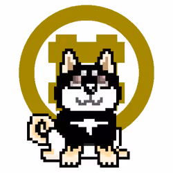 black_shiba_maruhiraidutu