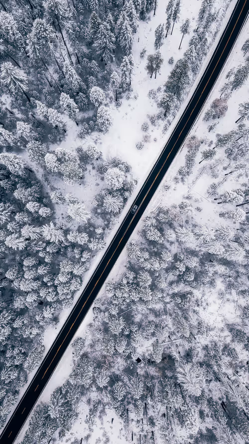 Item #91533776349707107334996359426163394312914568393480287964012023547085551828993 Media