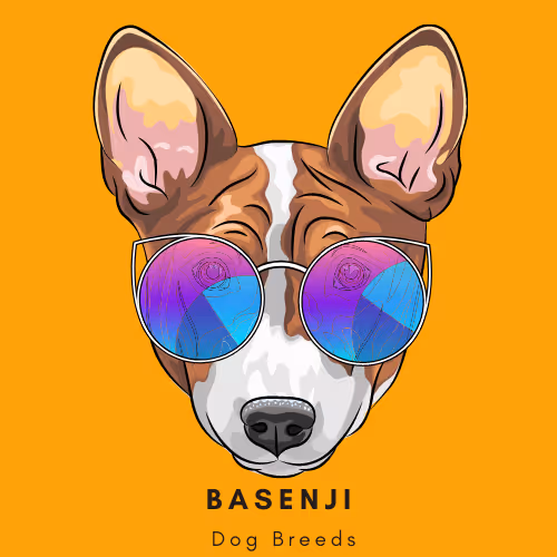 Item #102435799496306094734793923269386745647945406749022464082574321250996842397697 Media